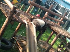 -大连森林动物园