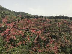 -木兰云雾山