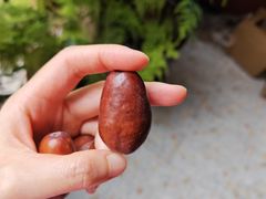 -双福水果批发市场
