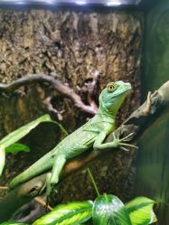 -酷嗒动物文化乐园(cutezoo西溪乐天城店)