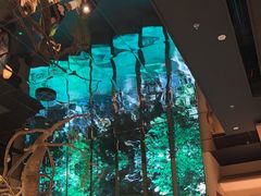 -桂满陇·海市蜃楼·黑金(国金店)