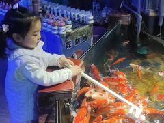 -太平洋海底世界