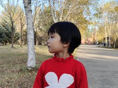 -哈尔滨北方森林动物园
