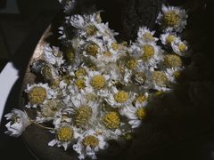 -成都许燎源现代设计艺术博物馆