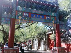 -北京国子监胡同