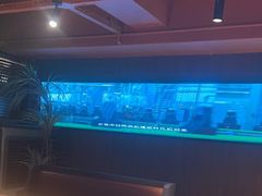 -雪熊精酿·哈尔滨烧烤酒馆(非遗大串店)