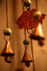 店内环境-老黑造型