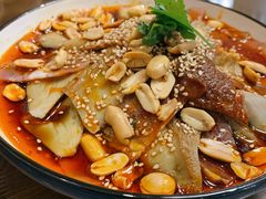 红油肺片-伊兰麒兰馨园·川菜·清真馆(339电视塔店)