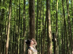 -山王坪喀斯特国家生态公园