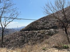 -妙峰山风景名胜区
