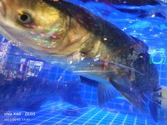 -蛙一刀·麻椒鱼火锅(金仙桥店)