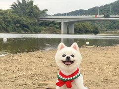 -蓝记云吞(正果店)