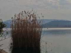 -南北湖风景区