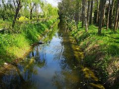 -前小桔亲子创意农场·草莓采摘·露营烧烤