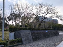 -南翔镇银翔湖公园