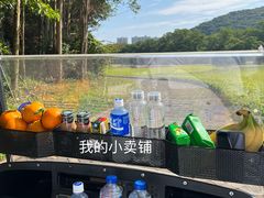 球场-南沙高尔夫球会