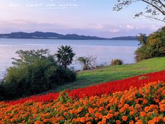 -东钱湖旅游度假区