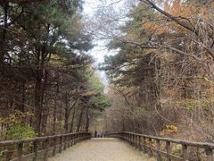 -棋盘山风景区