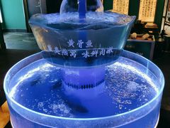 -佬麻雀·剁椒鱼头(京基KK One店)