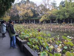 -四川大学(华西校区)