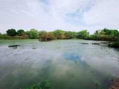 -长兴太湖图影湿地文化园