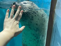 -威海华夏城景区