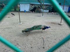 -苏州上方山国家森林公园
