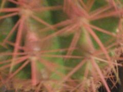 android_upload_pic-爱尚花坊(大林路店)