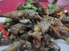 椒盐多春鱼-蛇口康乐快餐鱼仔档(翠苑小区店)
