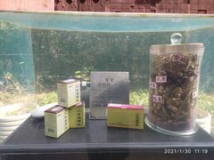 -广州神农草堂中医药博物馆