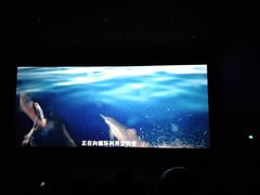 -中影国际影城(神农万达广场CINITY店)