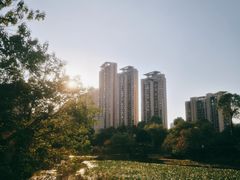 -桃花岭景区