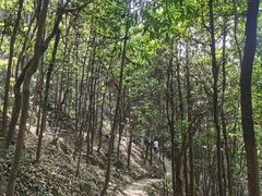 -南山植物园