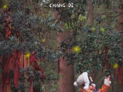 -常德桃花源景区
