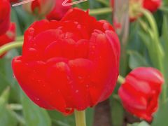 -玄武湖景区-情侣园游乐场