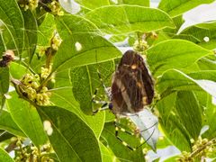 -东天目山风景区