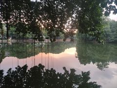 -荔湾湖公园