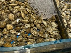 -双合园·海鲜水饺青岛菜(九水东路店)