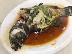 清蒸青斑-新享乐海鲜(翠华路店)