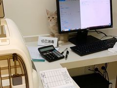 -艾贝尔宠物医院·24H转诊中心·肿瘤猫专科(江宁双龙店)