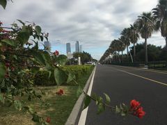 -黄金海岸环岛路