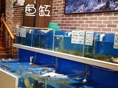 水产区-姜君·千岛湖鱼头馆(浦东大道店)