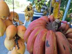 -龙泉人椰子鸡.糟粕醋.海南菜(三亚旗舰店)