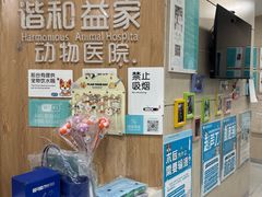 -谐和益家动物医院·免疫绝育·血液透析·宠保定点医院(高新伊藤分院)
