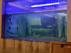 -潮福城大酒楼(北尚店)