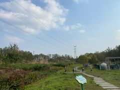 -桤木河湿地公园