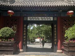 -大槐树寻根祭祖园