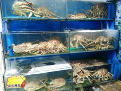 水产区-蚝专家(北滘店)