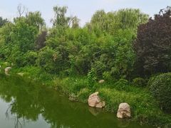 -思念果岭悦温泉