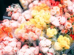 -循礼门鲜花花市(武汉循礼门店)